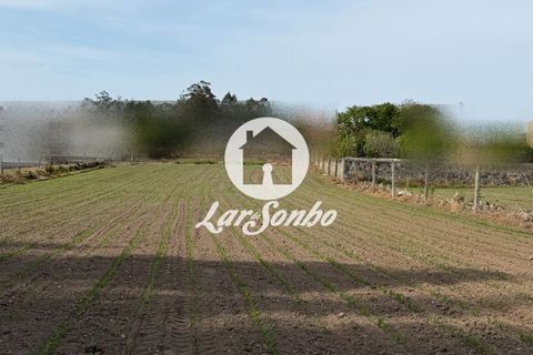 Farm i Vila do Conde, Porto, Vila do Conde - € 376.000 | Ref: 240-Q-26249 - foto 14