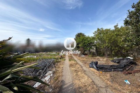 Farm i Vila do Conde, Porto, Vila do Conde - € 376.000 | Ref: 240-Q-26249 - foto 16