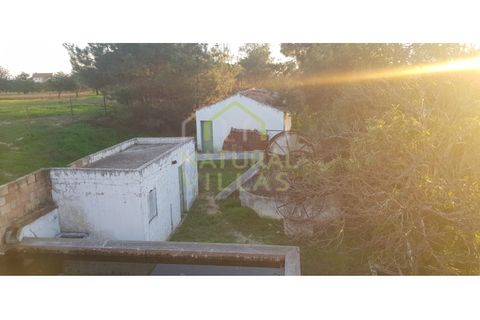 Farm i Olhao, Faro, Olhao - € 585.000 | Ref: QUI_2459_VEND - foto 1