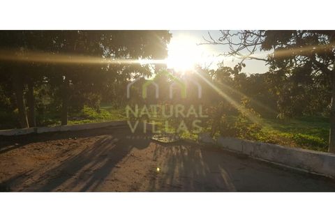 Farm i Olhao, Faro, Olhao - € 585.000 | Ref: QUI_2459_VEND - foto 2