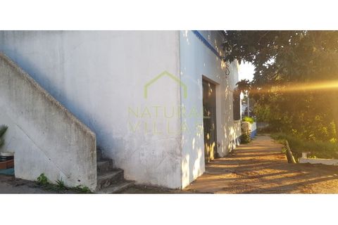 Farm i Olhao, Faro, Olhao - € 585.000 | Ref: QUI_2459_VEND - foto 3