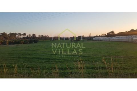 Farm i Olhao, Faro, Olhao - € 585.000 | Ref: QUI_2459_VEND - foto 4
