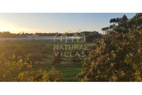 Farm i Olhao, Faro, Olhao - € 585.000 | Ref: QUI_2459_VEND - foto 5