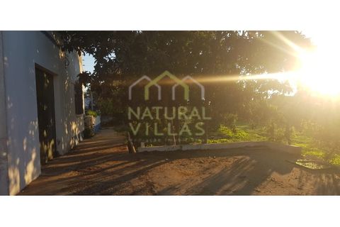 Farm i Olhao, Faro, Olhao - € 585.000 | Ref: QUI_2459_VEND - foto 6