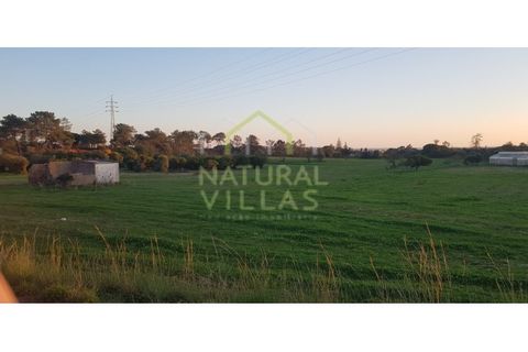 Farm i Olhao, Faro, Olhao - € 585.000 | Ref: QUI_2459_VEND - foto 7
