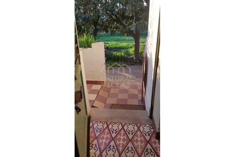 Farm i Olhao, Faro, Olhao - € 585.000 | Ref: QUI_2459_VEND - foto 24