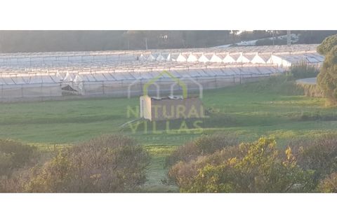 Farm i Olhao, Faro, Olhao - € 585.000 | Ref: QUI_2459_VEND - foto 28
