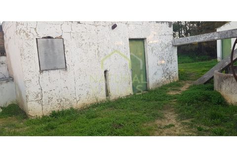 Farm i Olhao, Faro, Olhao - € 585.000 | Ref: QUI_2459_VEND - foto 29