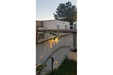 Farm i Olhao, Faro, Olhao - € 585.000 | Ref: QUI_2459_VEND - foto 30