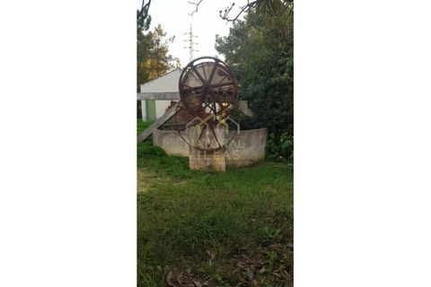 Farm i Olhao, Faro, Olhao - € 585.000 | Ref: QUI_2459_VEND - foto 31