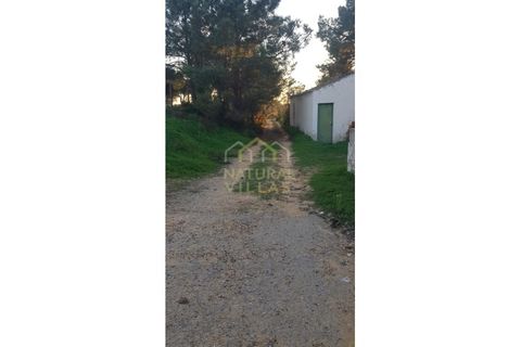 Farm i Olhao, Faro, Olhao - € 585.000 | Ref: QUI_2459_VEND - foto 34