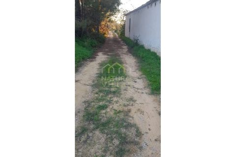 Farm i Olhao, Faro, Olhao - € 585.000 | Ref: QUI_2459_VEND - foto 35
