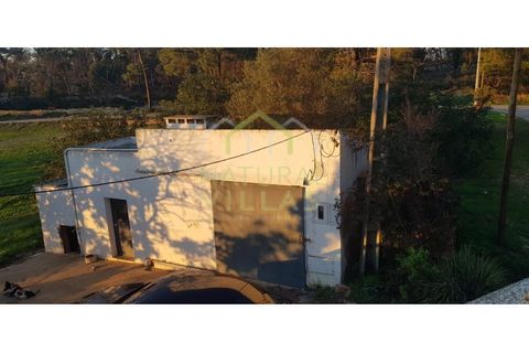 Farm i Olhao, Faro, Olhao - € 585.000 | Ref: QUI_2459_VEND - foto 36