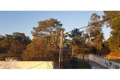 Farm i Olhao, Faro, Olhao - € 585.000 | Ref: QUI_2459_VEND - foto 38