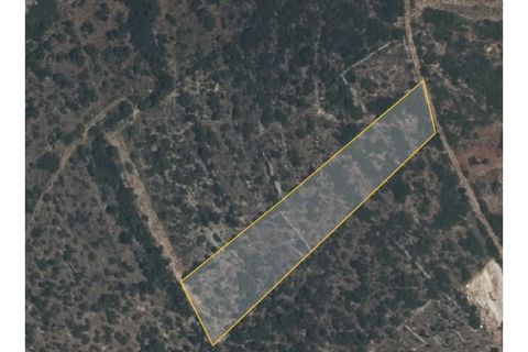 Helårsgrund i Estoi, Faro, Estoi - € 21.500 | Ref: TER_2380_VEND - foto 2