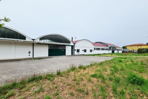 Erhvervsejendom i Baone, Padua, Baone - € 550.000 | Ref: CAP 86 - foto 5