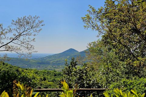 Landejendom i Cinto Euganeo, Padua, Cinto Euganeo - € 299.000 | Ref: RUST 240 - foto 2