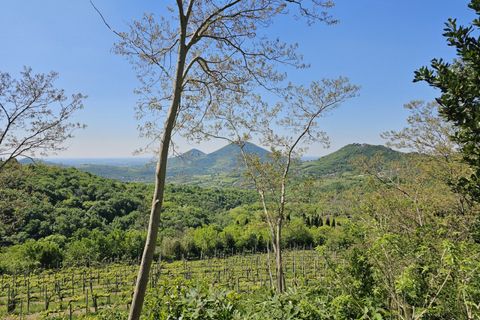 Landejendom i Cinto Euganeo, Padua, Cinto Euganeo - € 299.000 | Ref: RUST 240 - foto 16