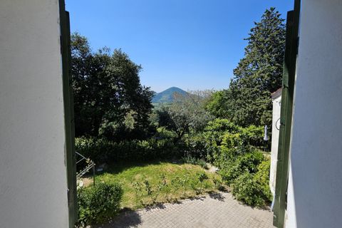 Landejendom i Cinto Euganeo, Padua, Cinto Euganeo - € 299.000 | Ref: RUST 240 - foto 19
