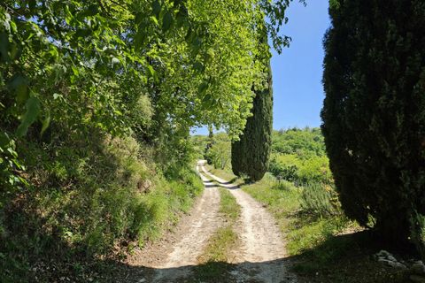 Landejendom i Cinto Euganeo, Padua, Cinto Euganeo - € 299.000 | Ref: RUST 240 - foto 26