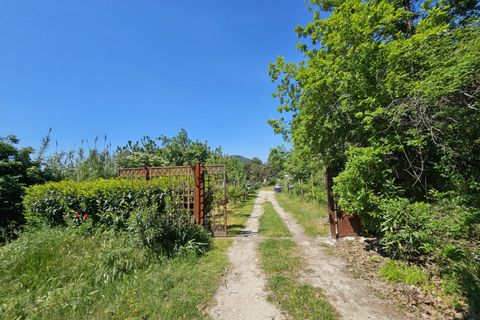 Landejendom i Cinto Euganeo, Padua, Cinto Euganeo - € 299.000 | Ref: RUST 240 - foto 30