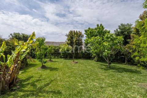 Villa i Esposende, Braga, Esposende - € 1.550.000 | Ref: ZMPT588384 - foto 9