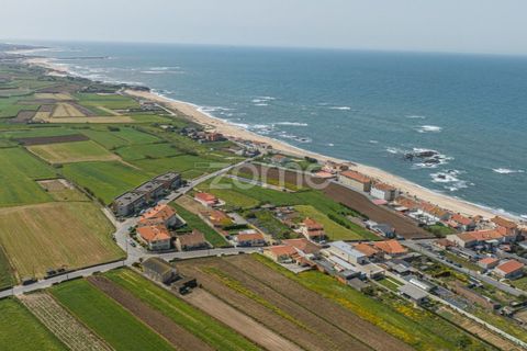 Helårsgrund i Vila do Conde, Porto, Vila do Conde - € 399.000 | Ref: ZMPT588419 - foto 7