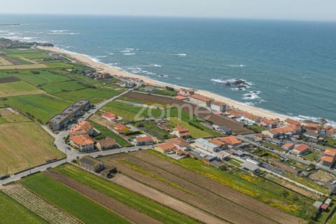 Helårsgrund i Vila do Conde, Porto, Vila do Conde - € 399.000 | Ref: ZMPT588419 - foto 8