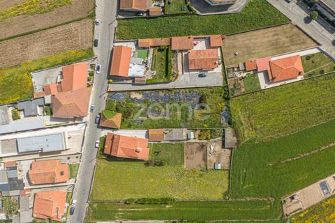 Helårsgrund i Vila do Conde, Porto, Vila do Conde - € 399.000 | Ref: ZMPT588419 - foto 10