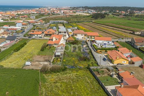Helårsgrund i Vila do Conde, Porto, Vila do Conde - € 399.000 | Ref: ZMPT588419 - foto 14