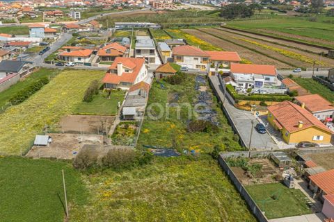 Helårsgrund i Vila do Conde, Porto, Vila do Conde - € 399.000 | Ref: ZMPT588419 - foto 15