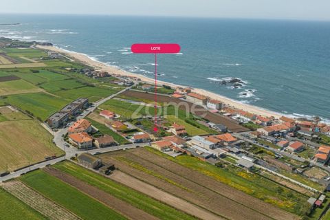 Helårsgrund i Vila do Conde, Porto, Vila do Conde - € 399.000 | Ref: ZMPT588419 - foto 28