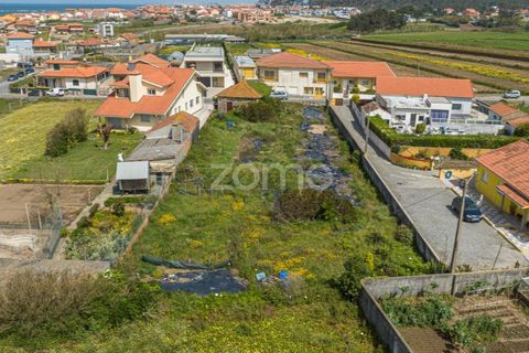 Helårsgrund i Vila do Conde, Porto, Vila do Conde - € 399.000 | Ref: ZMPT588419 - foto 16