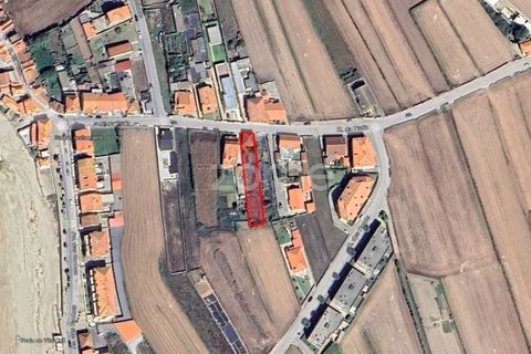 Helårsgrund i Vila do Conde, Porto, Vila do Conde - € 399.000 | Ref: ZMPT588419 - foto 32
