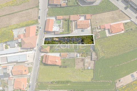 Helårsgrund i Vila do Conde, Porto, Vila do Conde - € 399.000 | Ref: ZMPT588419 - foto 34