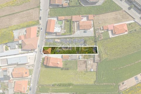 Helårsgrund i Vila do Conde, Porto, Vila do Conde - € 399.000 | Ref: ZMPT588419 - foto 35
