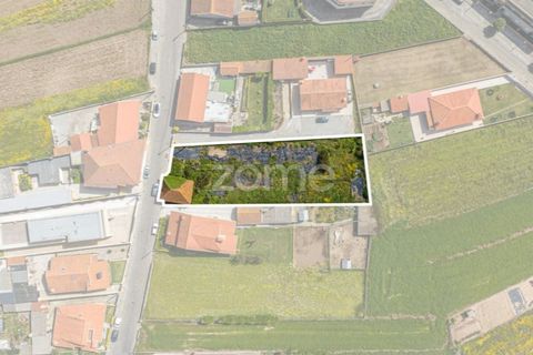 Helårsgrund i Vila do Conde, Porto, Vila do Conde - € 399.000 | Ref: ZMPT588419 - foto 36
