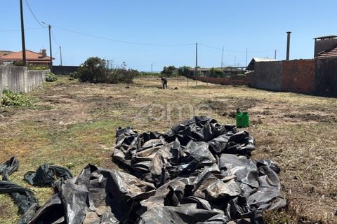Helårsgrund i Vila do Conde, Porto, Vila do Conde - € 399.000 | Ref: ZMPT588419 - foto 20