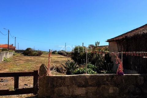 Helårsgrund i Vila do Conde, Porto, Vila do Conde - € 399.000 | Ref: ZMPT588419 - foto 25