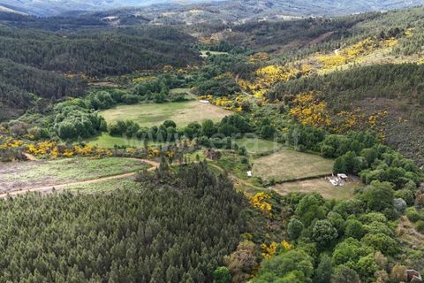 Helårsgrund i Covilha, Castelo Branco, Covilha - € 15.500 | Ref: 111260057 - foto 8