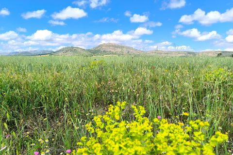 Helårsgrund i Yecla, Murcia, Yecla - € 55.000 | Ref: 70123 - foto 1
