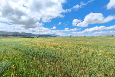 Helårsgrund i Yecla, Murcia, Yecla - € 55.000 | Ref: 70123 - foto 2
