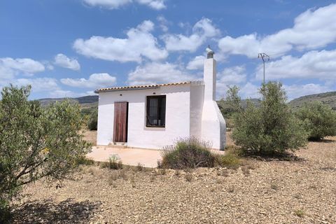 Landejendom i Caudete, Albacete, Caudete - € 67.500 | Ref: 70122 - foto 1