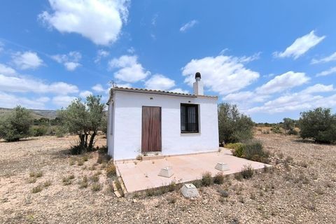 Landejendom i Caudete, Albacete, Caudete - € 67.500 | Ref: 70122 - foto 2