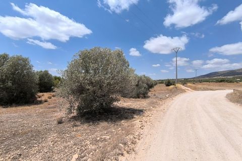 Landejendom i Caudete, Albacete, Caudete - € 67.500 | Ref: 70122 - foto 6