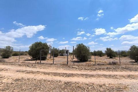 Landejendom i Caudete, Albacete, Caudete - € 67.500 | Ref: 70122 - foto 8