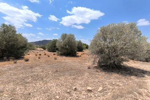 Landejendom i Caudete, Albacete, Caudete - € 67.500 | Ref: 70122 - foto 9