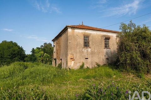 Byhus i Viana do Castelo, Viana do Castelo, Viana do Castelo - € 140.000 | Ref: 887264 - foto 28
