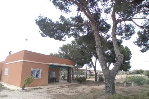 Landejendom i Elche, Alicante, Elche - € 390.000 | Ref: 1RE1089 - foto 2