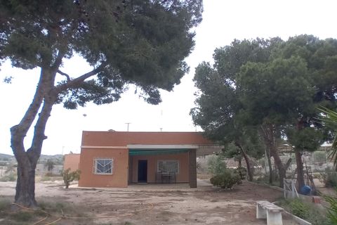 Landejendom i Elche, Alicante, Elche - € 390.000 | Ref: 1RE1089 - foto 3